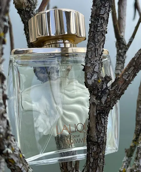Discount Lalique Pour Homme Lion