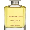 Sale Ormonde Jayne Osmanthus