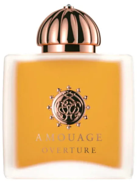 Clearance Amouage Overture Woman
